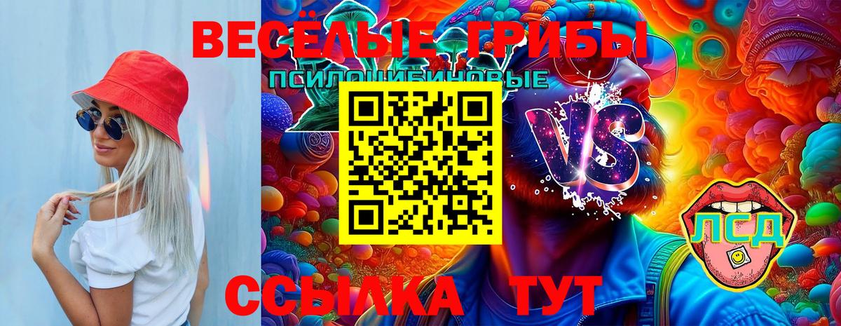 Псилоцибиновые грибы мицелий  Вход с VPN  Шахты 